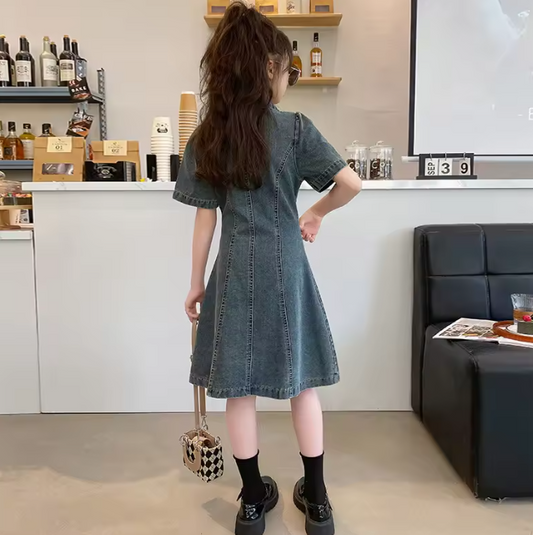 Classic Girls Denim Dress